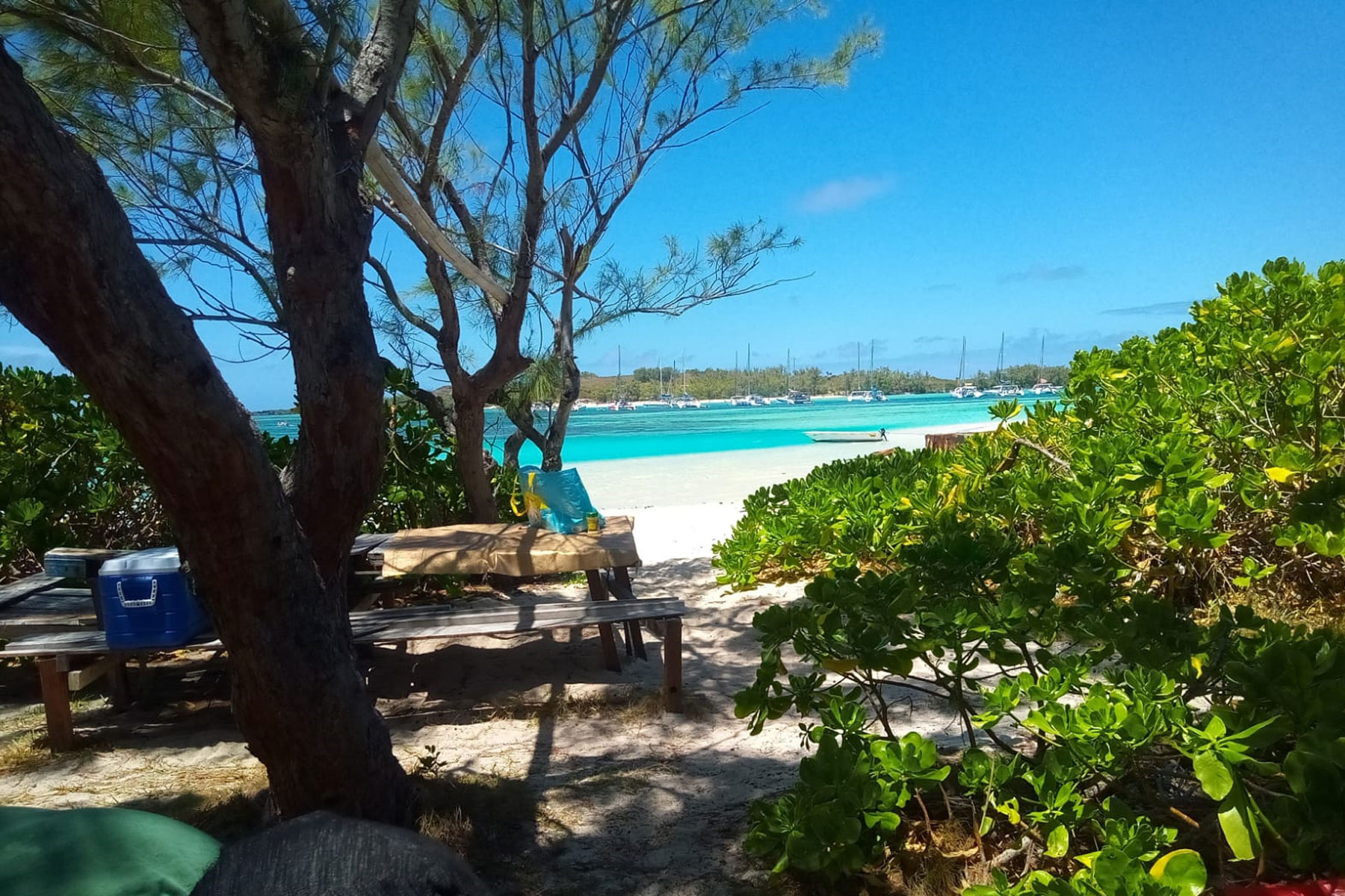 Speed Boat Tour in Mauritius