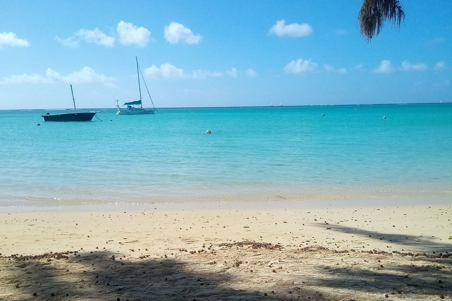 Speed Boat Tour in Mauritius